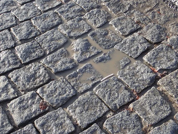 Adoquín textura pavimento mojado después de la lluvia — Foto de Stock