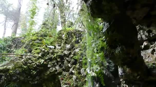 jardin mystique à guinta regaleira sintra portugal 