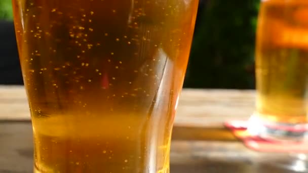 Detail Beer Glass Cold — Stock Video