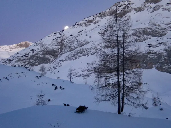 Zona de skitouring de invierno aarounf Laufener hutte in tennengebirge in austria — Foto de Stock