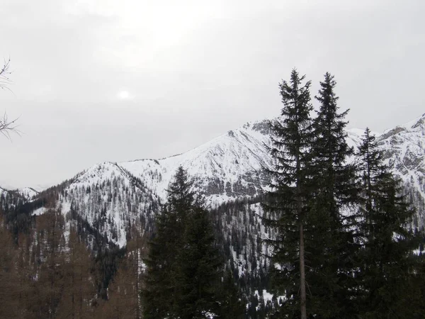 Winterlandschaft zum Skitouren in den Stubaier Alpen in Österreich — Stockfoto