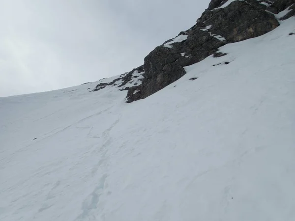 冬季高山风景，在澳大利亚的灰背阿尔卑斯山中滑行 — 图库照片