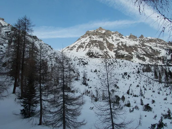 冬季高山风景，在澳大利亚的灰背阿尔卑斯山中滑行 — 图库照片