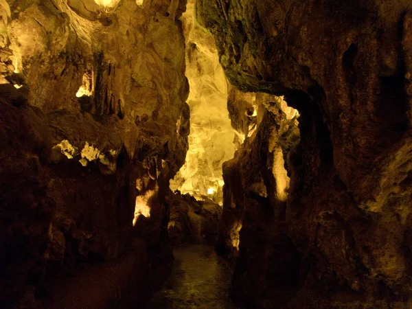 Gruda de moeda in portufal close to fatima — Stock fotografie