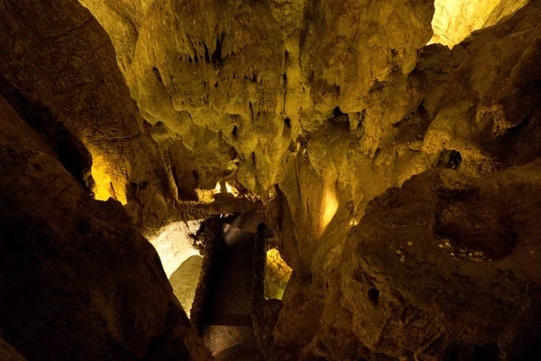 Gruda de moeda in portufal close to fatima — Stock fotografie