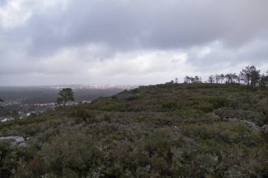 Rüzgarlı bir arazide terk edilmiş geleneksel yel değirmeni