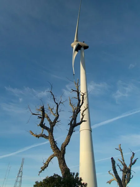 Planta de energía eólica en una colina —  Fotos de Stock