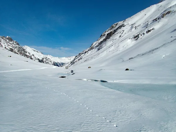 Skitouring paraíso silvretta montañas en austria — Foto de Stock