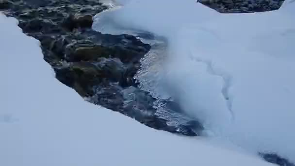 Pequeno Fluxo Água Fria Inverno Com Neve — Vídeo de Stock