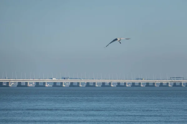 Célèbre Pont Européen Long Étang Vasco Gama Dans Lisbon Portugal — Photo