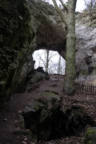 Entrée Une Grotte Calcaire Dans Parc Naturel Karstique Tchèque — Photo