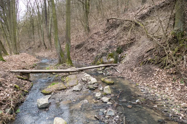 Pequeno Poço Próximo Córrego Florestal Com Água Pura — Fotografia de Stock