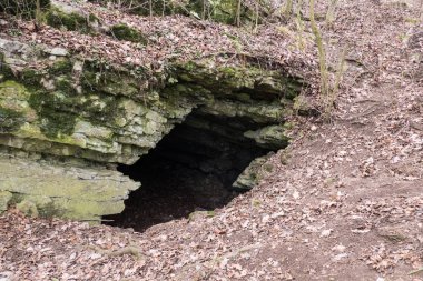 Czech karst doğal parkındaki kireçtaşı mağarasına giriş.