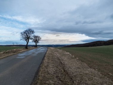 Orta Bohemya 'daki Czech Karst doğal park manzarasının güzel manzarası.