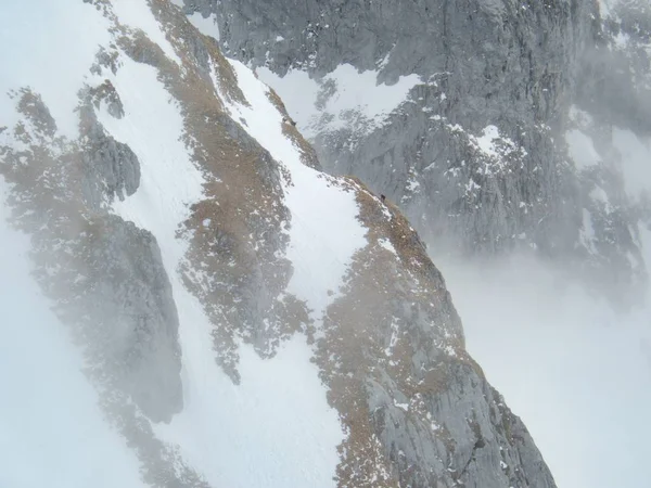 Vacker Skitouring Bergsterräng Vinterlandskap Tennengebirge Austriska Alperna — Stockfoto