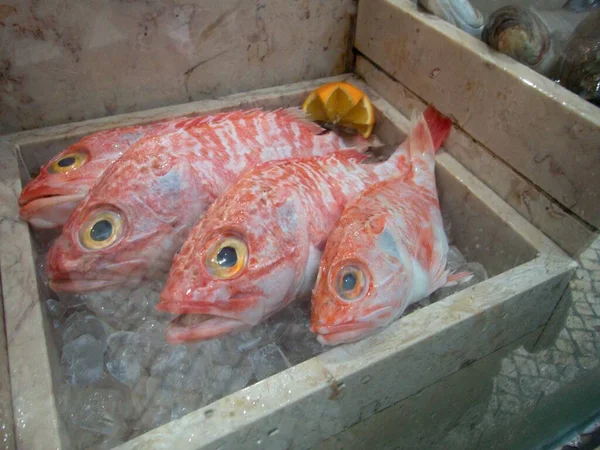 Pescado Rojo Vendido Mercado Hielo —  Fotos de Stock