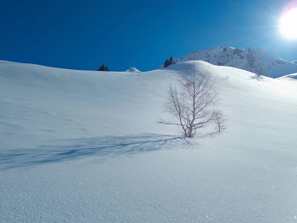 Belle Journée Skitouring Ensoleillée Dans Les Alpes Autrichiennes Hohe Tauern — Photo