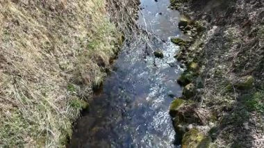 Creel, doğal park ormanında saf suyla birlikte.