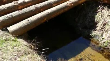 Czech sumava dağlarındaki tarihi Schwarzenberg kanalı, su taşımacılığı için odun taşımaktadır.