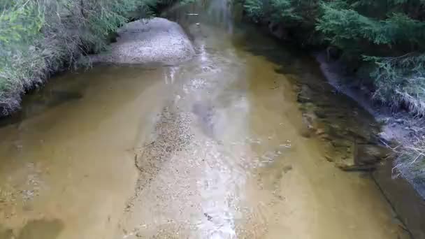 Creel Com Água Pura Floresta Parque Natural — Vídeo de Stock