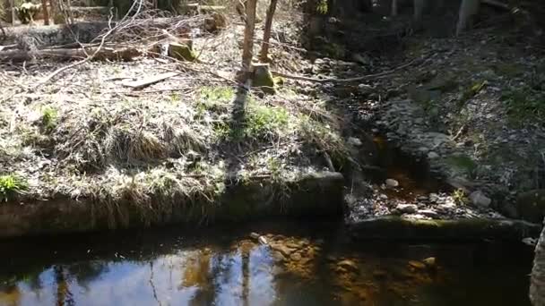 Histórico Canal Schwarzenberg Las Montañas Sumava Checa Para Transporte Agua — Vídeos de Stock