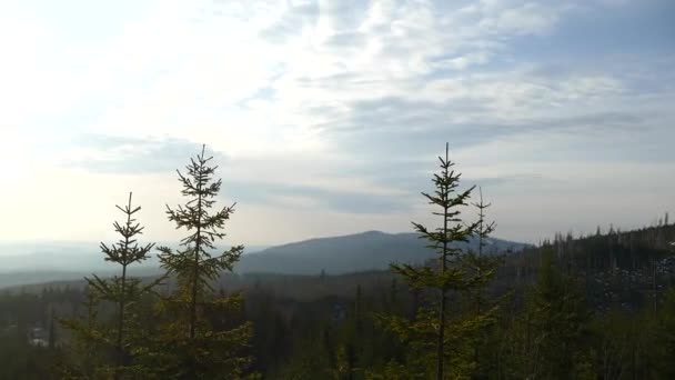 Tschechische Naturlandschaft Böhmerwaldpark Südböhmen — Stockvideo
