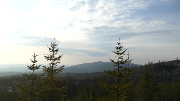 Paisaje Natural Checo Parque Sumava Sur Bohemia — Vídeos de Stock