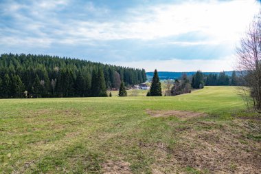 Güney Bohemya 'daki doğal park sumavasında güzel bir çeçen manzarası.