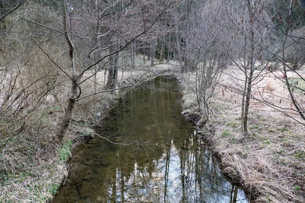 Schöner Kalter Reiner Wasserfluss Wald — Stockfoto