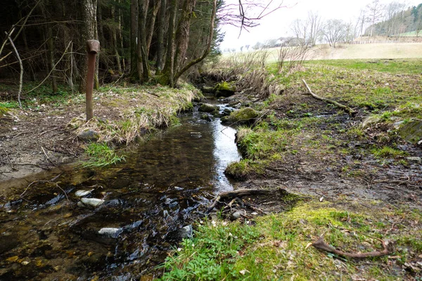 Belo Fluxo Água Pura Fria Floresta — Fotografia de Stock