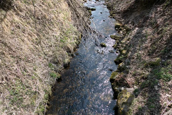 Gyönyörű Hideg Tiszta Víz Patak Erdőben — Stock Fotó