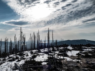 İlkbaharda Czech sınırındaki güzel dağ sırtı sumavası