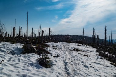 İlkbaharda Czech sınırındaki güzel dağ sırtı sumavası