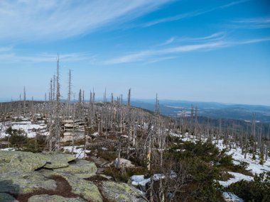 İlkbaharda Czech sınırındaki güzel dağ sırtı sumavası