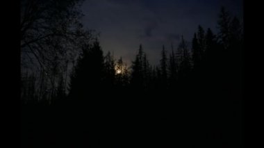 Gökyüzünde kehribarın zamanı