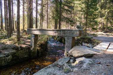 Sumava woodin czech cumhuriyetindeki eşsiz tarihi Schwarzenberg kanalı nakliye kanalı su yolu
