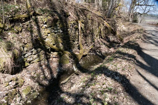 Унікальний Історичний Канал Шварценберг Транспортування Водного Шляху Sumava Woodin Czech — стокове фото