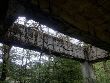 Çek Cumhuriyeti 'ndeki cevher dağlarındaki eski bir teneke madeninin beton kalıntısı.