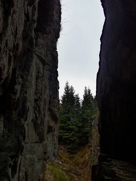 Felsgrube Der Ehemaligen Zinnmine Tschechischen Erzbergen — Stockfoto