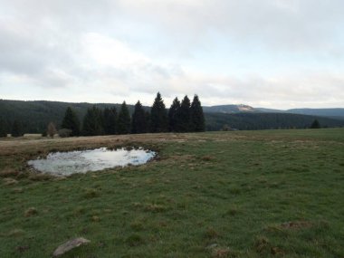 Batı Bohemya 'daki Çeçen cevheri dağlarındaki doğal manzara