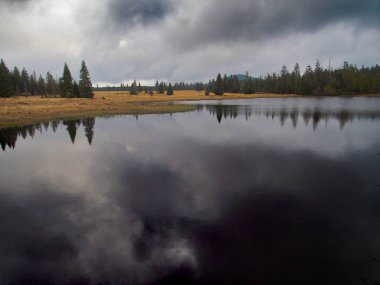 Çech doğal parkındaki ormandaki güzel göl.