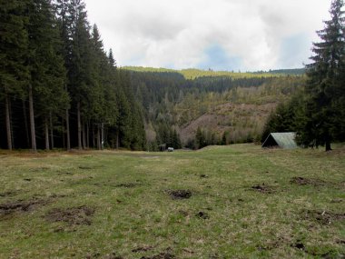 Batı Bohemya 'daki Çeçen cevheri dağlarındaki doğal manzara