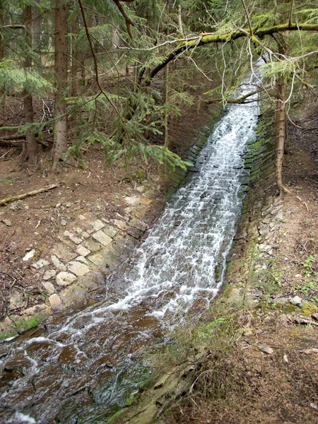 Ein Kühler Reiner Wasserlauf Wald — Stockfoto