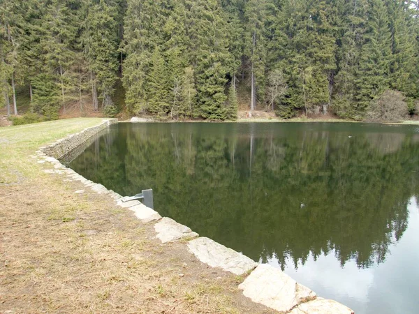 Красивое Озеро Лесу Чешском Природном Парке — стоковое фото