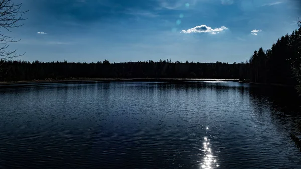 Bellissimo Lago Nella Foresta Nel Parco Naturale Ceco — Foto Stock