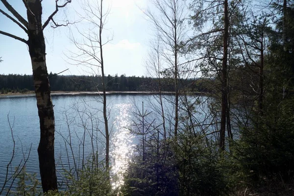 Όμορφη Λίμνη Στο Δάσος Στην Τσεχική Φυσικό Πάρκο — Φωτογραφία Αρχείου