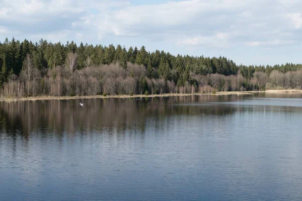 Όμορφη Λίμνη Στο Δάσος Στην Τσεχική Φυσικό Πάρκο — Φωτογραφία Αρχείου