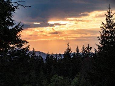 Güney Bohemya 'daki Czech cumhuriyetindeki ulusal park sumavasında güzel doğal manzara.