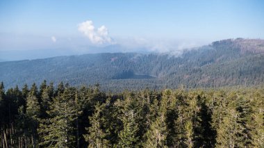 Güney Bohemya 'daki Czech cumhuriyetindeki ulusal park sumavasında güzel doğal manzara.