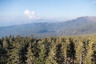 Güney Bohemya 'daki Czech cumhuriyetindeki ulusal park sumavasında güzel doğal manzara.